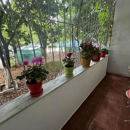 Garden Apartament *